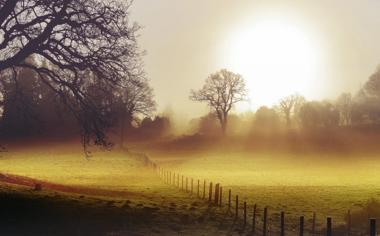 阳光下晨雾唯美自然风景壁纸