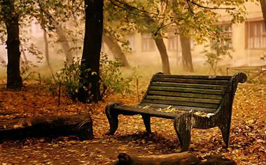 秋天公园的长椅唯美风景桌面壁纸