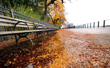 美丽的秋天落叶唯美风景桌面壁纸