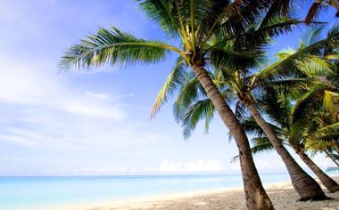 海边沙滩椰子树高清风景桌面壁纸
