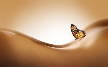 高清创意广告壁纸、蝴蝶、美体。