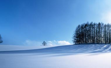 冬季田野雪景宽屏桌面壁纸