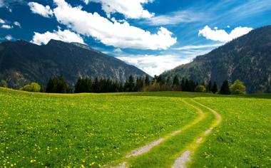 阿尔卑斯山草地道路风景桌面壁纸