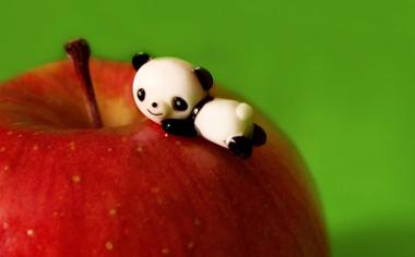 苹果上可爱的玩具小熊桌面壁纸