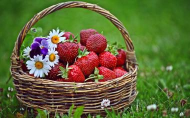 草地上篮子里好看的草莓高清壁纸