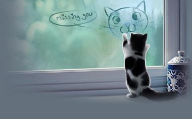 逗人笑的可爱小猫咪桌面壁纸