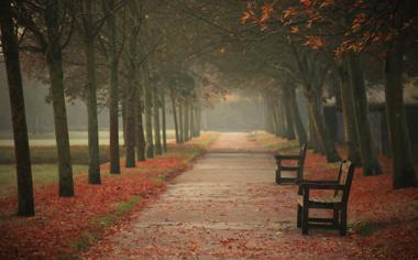 秋天街道,椅子,落叶,唯美风景桌面壁纸