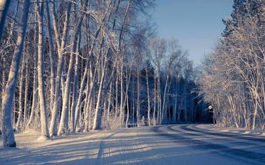 冬天雪后树林道路风景桌面壁纸