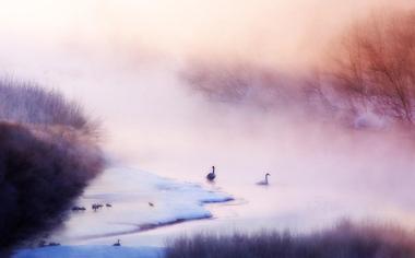 迷雾朦胧的湖边美景壁纸