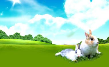 草地爱心小兔桌面背景