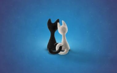 情人节黑猫白猫桌面壁纸