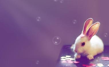 可爱的小兔lomo风格桌面壁纸
