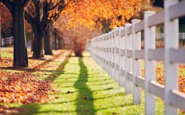 秋天栅栏篱笆唯美风景壁纸