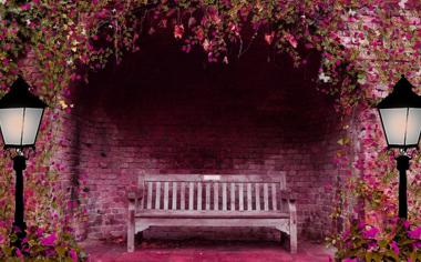 花园鲜花长椅自然风景壁纸