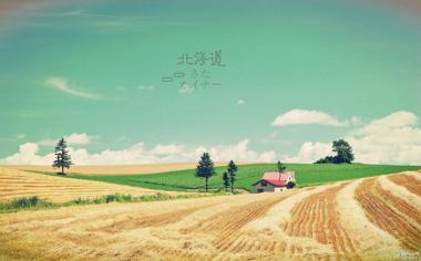 北海道的乡村风景照壁纸图片