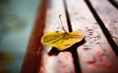 躺椅上的一片秋叶静美图片高清唯美壁纸
