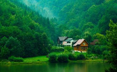 山下森林,房子,溪流高清绿色自然风景桌面壁纸