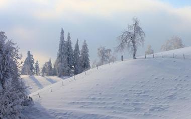 冬天雪地树木栅栏风景桌面壁纸