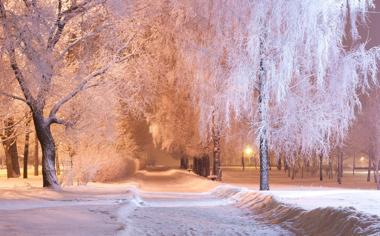 冬天雪树风景桌面壁纸