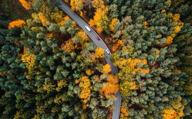 高清秋天航拍树林道路风景壁纸