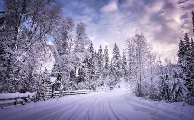 哥伦比亚冬天雪景电脑桌面壁纸