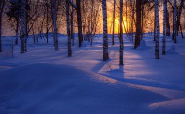 唯美冬季树木雪景自然风景壁纸