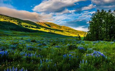 科罗拉多州高山草地风景桌面壁纸