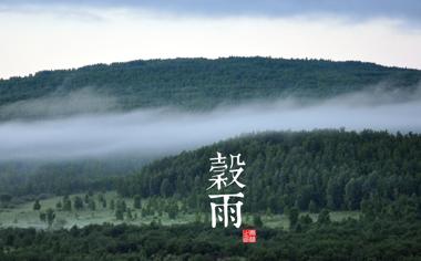 谷雨24节气风景高清壁纸