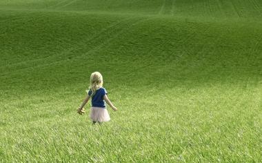 草地上的可爱小女孩背影桌面壁纸