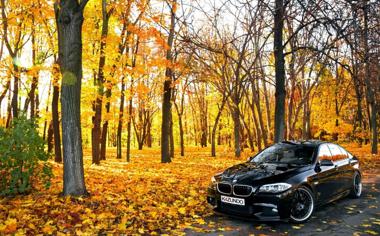 秋天樹林中黑色轎車圖片風景壁紙