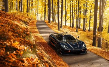 秋天樹林小道上飛奔的黑色跑車高清圖片壁紙下載
