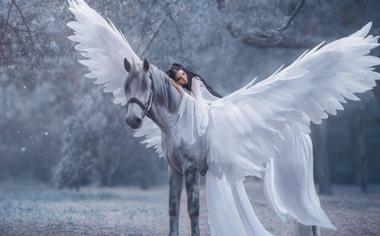 飞马与美丽的天使高清壁纸图片