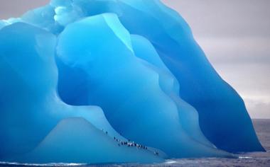 南极海面冰山上可爱企鹅图片壁纸