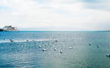 美丽的青海湖风景桌面壁纸
