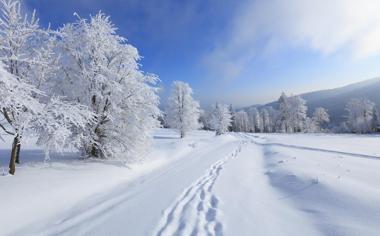 冬天野外雪景自然风景桌面壁纸