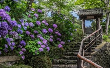 京都伏见稻荷风景图片高清风景桌面壁纸