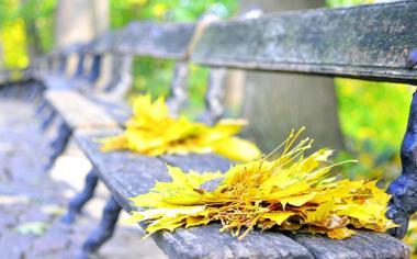 公园椅子上的落叶唯美桌面壁纸