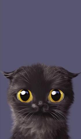 宠物猫咪图片大全高清手机壁纸，超萌超萌的9