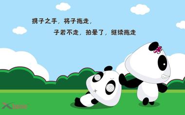 可爱的卡通熊猫桌面背景图片10