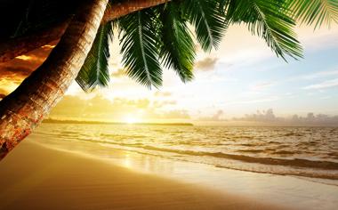 美丽的大海沙滩椰树自然风景高清图片大全2