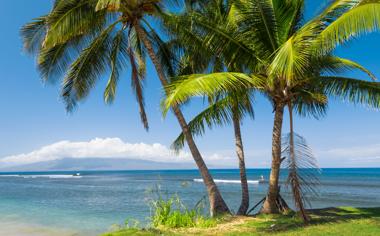 美丽的大海沙滩椰树自然风景高清图片大全3