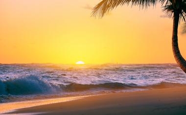 美丽的大海沙滩椰树自然风景高清图片大全4