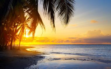 美丽的大海沙滩椰树自然风景高清图片大全5