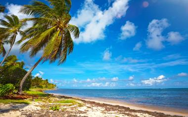 美丽的大海沙滩椰树自然风景高清图片大全6