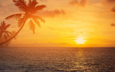 美丽的大海沙滩椰树自然风景高清图片大全8