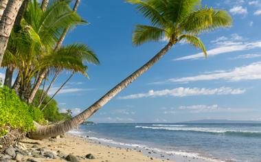 美丽的大海沙滩椰树自然风景高清图片大全9